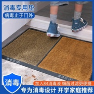 Mat Household Entrance Door Mat Outdoor Foyer Disinfection Outdoor Foot Mat Floor Mat Entrance Door 