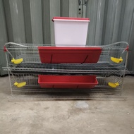 Sangkar Penelur Burung Puyuh. Quail Cage