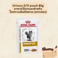 Royal canin Urinary S/O cat pouch 85 g อาหารสำหรับ แมวโรคนิ่วแบบซอง 12 ซอง (หมดอายุ 11/2025)