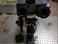 Olympus CHK 光學顯微鏡顯微鏡 顯微鏡光學顯微鏡200*200