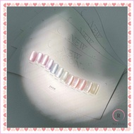 Dvok x New Moon 12 Color Set Magnetic Nail