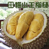 馬來西亞原個D197貓山王榴槤(1.4kg連殼)(急凍)06777
