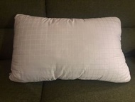 Sealy 酒店枕頭 Pillow