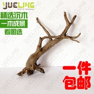 May Ling Shen Shui tree wood wooden trumpet Moss tree landscaping plants rhododendron root driftwood