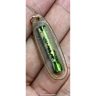 amulet ac chum takrut 2513