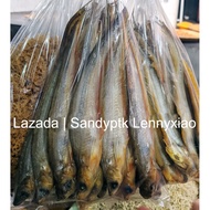 Ikan Lais Besar Balor Asin Kering Kalimantan