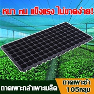 ถาดเพาะกล้า ถาดเพาะชำ 105หลุม 5/10/20/50/100แผ่น ถาดเพาะต้นกล้า ถาดเพาะกล้า ถาดเพาะต้นอ่อน ถาดเพาะเม