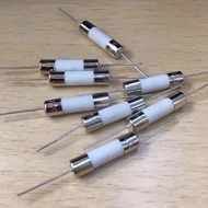 Induction Cooker Dedicated Fuse 5X20mm Fuse Ceramic with Lead Fuse 250V 10A 20A 15A