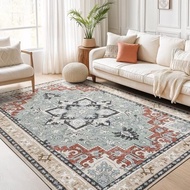 Lofus 5x7 Area Rugs for Living Room and Bedroom, Machine Washable Rug for Kitchen Office, Non Slip L