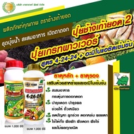 ชุดสะสมอาหาร เปิดตาดอก บำรุงผล ปุ๋ยน้ำ NPK สูตร 4-24-24 + ปุ๋ยธาตุรองเสริม สูตร 2 ขนาด 1 ลิตร อย่าง