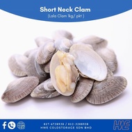 Frozen Short Neck Clam 1kg± | Lala Asari Kepah |冷冻花甲花蛤啦啦