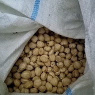 Kemiri / kemiri bulat / kemiri 1 kg