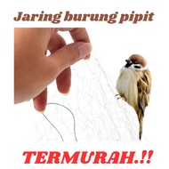 WHITE BIRD NET, emprit bird, crucuk bird, finches, bird trap net, bird trap