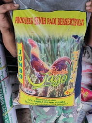 Benih Bibit Padi Ciherang IR64 Infari Mekongga Super Jumbo 5Kg Berlabel Ungu