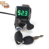 sun 12V/24V/36V/48V/60V/72V Throttle Ebike With Battery Power Display Thumb Grips shine