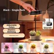 EZVALO | Retro Charging Night Light Mini Desk Lamp