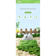 5A grade first-cut Timothy, second grade Timothy grass , alfalfa hay for rabbit, chinchalla, guinea 