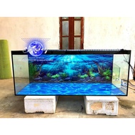 3d painting. stickers for aquariums, arowana fish tanks (back painting)