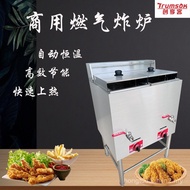 Commercial Vertical Gas Fryer Single Double Cylinder Double Sieve Stainless Steel Natural Gas Fryer 