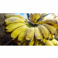 PISANG KEPOK 1 SISIR