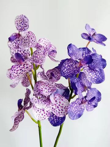 Orchid Atifical Flower Purple Butterfly Orchid Flower Fake Phalaenopsis Floral Arrangement Decoratio