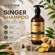 Gold Nine Professional Ginger Revive Shampoo 500ml 生姜洗发水 Halia Goldnine 防脱发洗发水