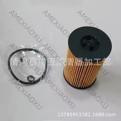 1 Pc For A4 A5 A3 1.6 2.0TDI GOLF Diesel Oil Filter Cartridge 03N115562B AMEXIAOXU