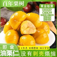 Cooked Chestnut Kernels Instant Peeled Chestnut Kernels Oil Chestnut Kernels Small Package Sweet Che