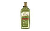 ▶$1 Shop Coupon◀  Dalan d Olive Olive Oil Shampoo Color Protection 13.5 fl oz (400 ml)