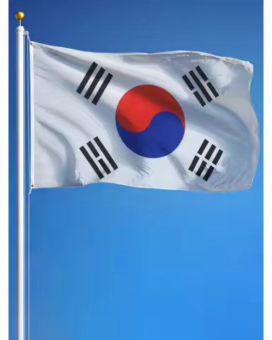 60x90cm 90x150cm Kor Kr South Korea Flag 2x3ft/3x5ft