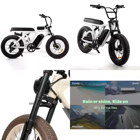 Customizable Full Suspension Electric Bike 20-Inch Tire E-Bike with Cut off Mechanism 45km/h