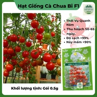F1 cherry tomato seeds are easy to grow and productive