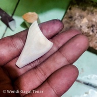 Blank Body Jaws Frog 3.7cm