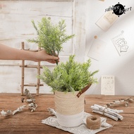 [SH]Simulation Plant Realistic Lifelike No Watering No-withering Non-fading Vivid Flower Arrangement Fake Asparagus Setaceus Household Supplies