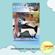 Toy Seabed - Educational Toy Set for Sea Animals