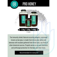 [SG] 13 Honey 250g Bundle Deal / Natural Pure Honey Organic Honey Raw Honey  / Wild Honey Stingless 