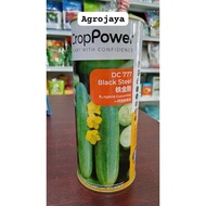 Benih Timun DC777 Black Steel F1 Hybrid Cucumber Crop Power - ( 100g ) 👍 💯