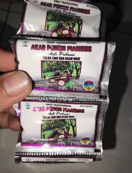 Kapsul Akar Pohon Manggis Pj Akar Manggis Original Berhologram