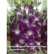 Promo Bunga Anggrek Dendrobium Premium Asli Putih &amp; Ungu Fresh Asli