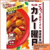 Curry Day, S&B Foods, Medium Spicy, 230g x 5 packs 【Direct from Japan】
