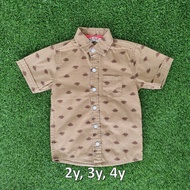 *NEW* Cotton Brown Dinosaur Shirt by Blue Jays