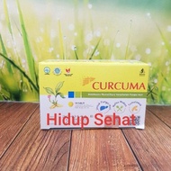 Curcuma Tablet / Temulawak Tablet (SOHO) 