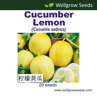 Cucumber Lemon (20 seeds) 柠檬黄瓜 Timun Vegetable Seeds Wellgrow Seeds