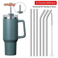 WOLFAY 1Pcs Cup Straw, Silver Straight Bent Stainless Steel Straws, Reusable 6mm 8mm Drinking Replacement Straw for  30oz 40oz Tyeso Cup