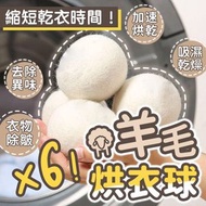 加速乾衣！多功能羊毛烘衣球（6個）均勻烘乾 衣物除皺 去除異味 吸濕去味乾燥 除靜電防纏繞 長久循環使用｜純天然毛氈羊毛球 乾洗球 洗衣機乾衣機乾燥球