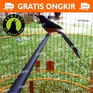 TANGKRINGAN SETAN KARET HITAM SANGKAR MURAI VIRAL LAPIS KAYU ANTI PATAH UNTUK KANDANG BURUNG TKARM