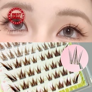 Glue Free Fox Series Colorful Play Makeup False Eyelashes Feeling Diy Segmented Comic Adhesive K0o0
