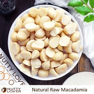 500Gram Nutty Lover Premium Raw Macadamia Nut AUS