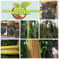 kemasan premium benih jagung jepang raksasa