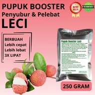 Pupuk Booster Leci / Obat Booster Buah Leci / Pupuk Booster Buah Leci / Pupuk Buah Leci